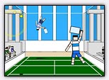 Ragdoll tennis