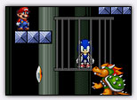 Super Mario Save Sonic 