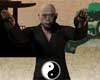 Shaolin heater