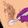 Tatto Style Shop
