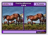 Find the differences horses