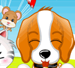 My  Cute Pets