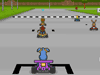 Puppy racing
