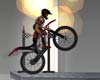 Trials 2