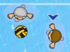Waterpolo  