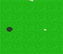 Mini Putt