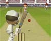 Flash Cricket 2