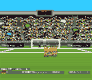 Flashgol