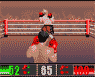 Knock Out