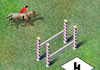Show Jumping