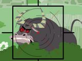Zoo-Premeaccuracy