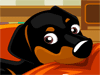 My Sweet Dog