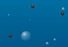 Bubbles