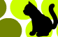 Chat noir