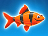 Franky the Fish