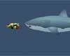 Mad Shark
