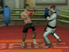 Mma Training Ground