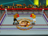 Hot blood boxing