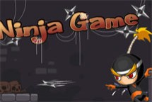 Ninja game
