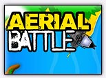 Aerial Battle