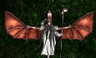 Dragon wizard